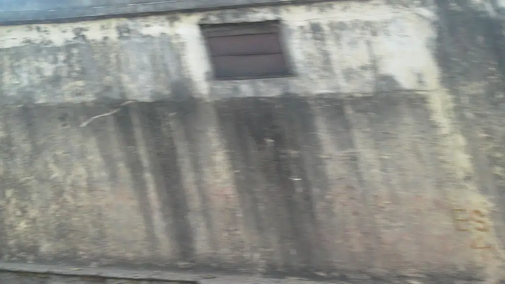 Government City Clg Students Ikkada