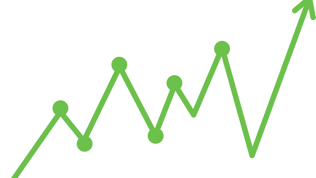 SEO Expert Agency