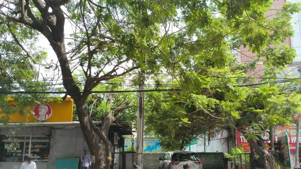 Moghal Mart Apartment