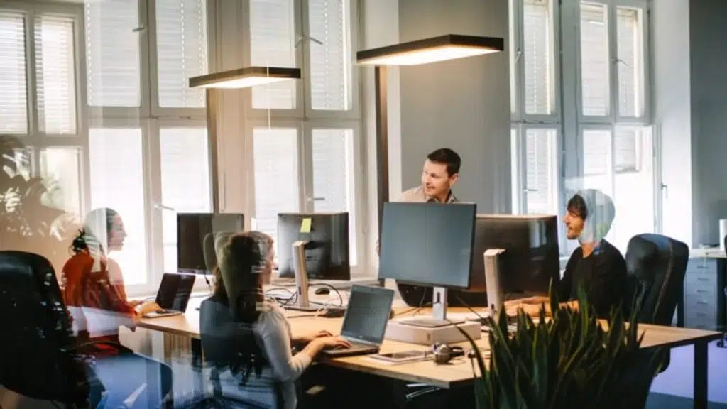 Accume Business Consultants