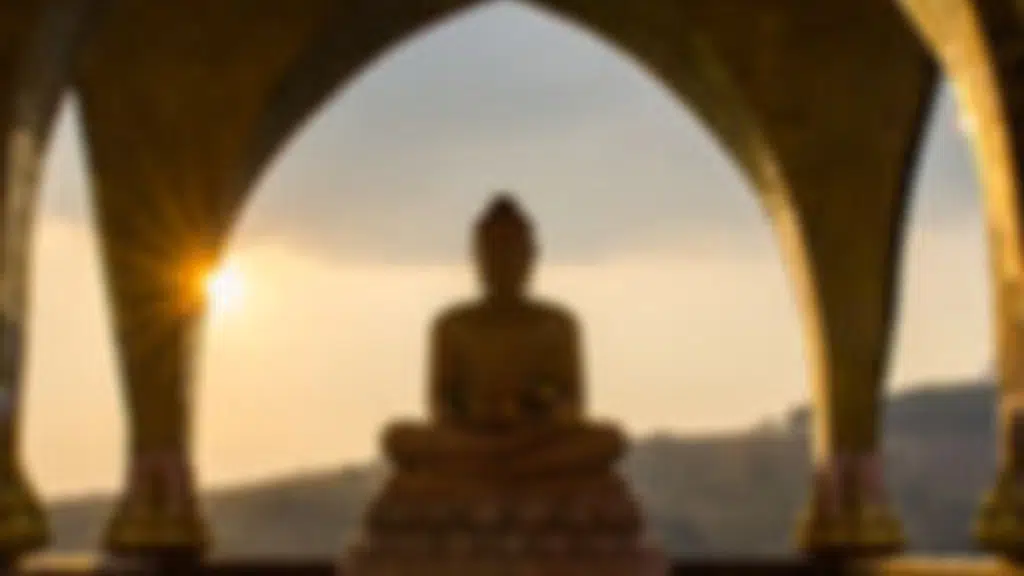 Sahay Travels