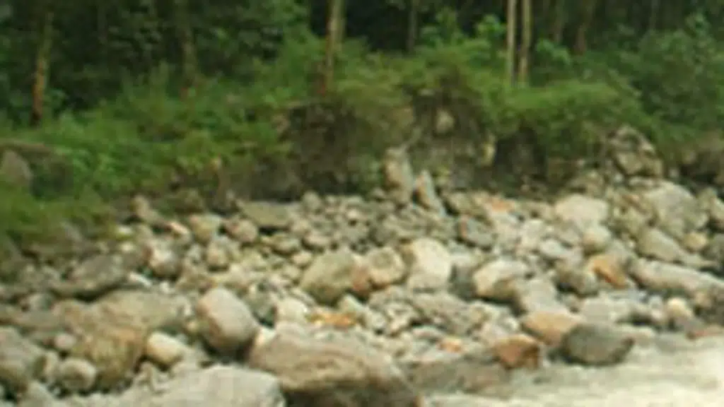 Mayal Lyang Homestay