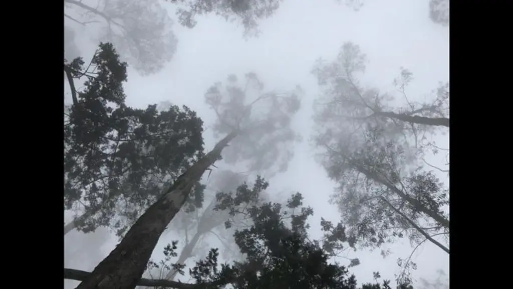 Raja Rani Holidays - Kodaikanal