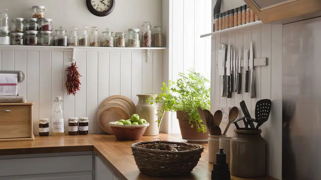 Shiva Home & Garden Care