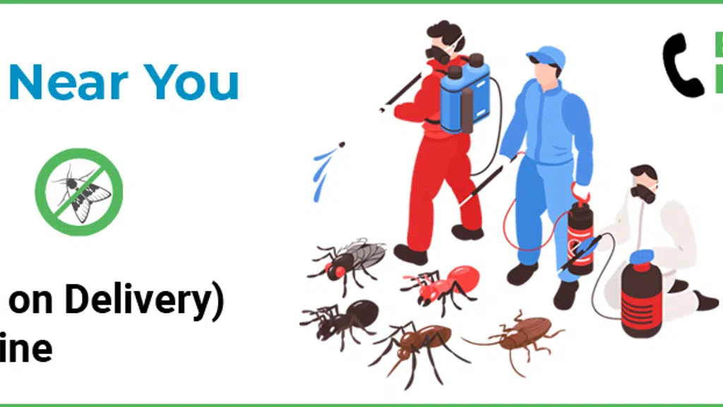 Pest Control Service Bangalore - GingerBays