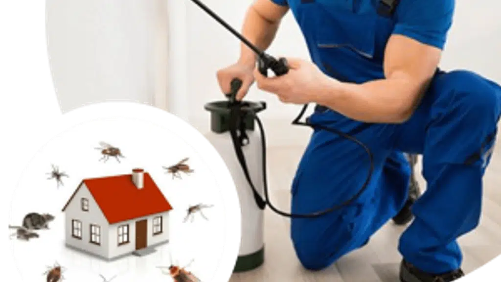 Global Pest Control || Ahilyanagar