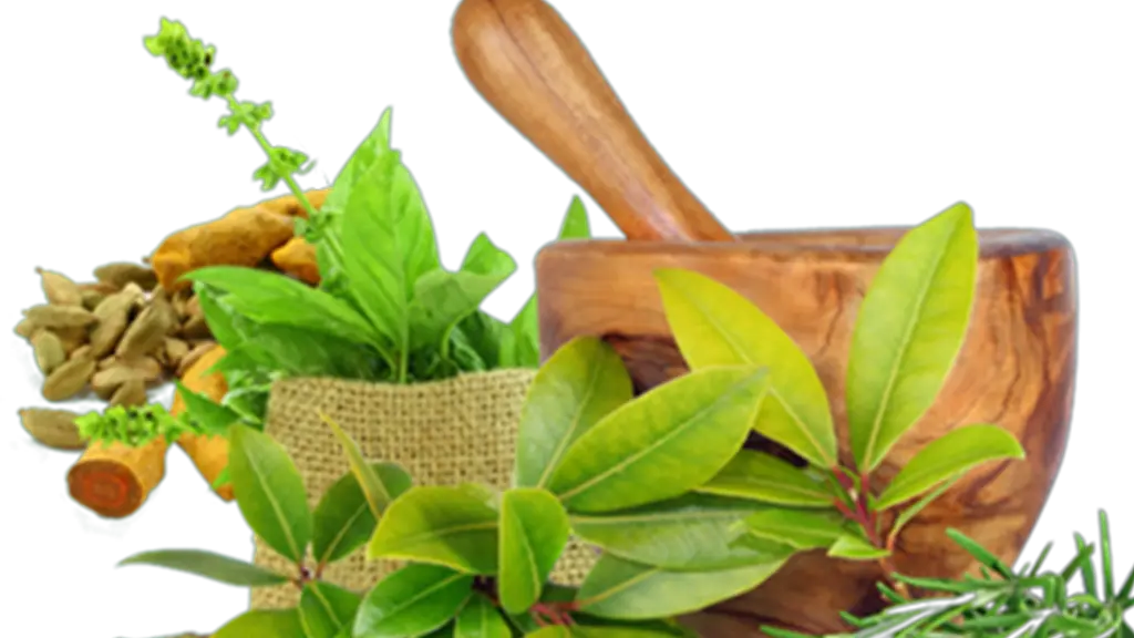 Deeksha Ayurveda Wellness Center and Pharmacy