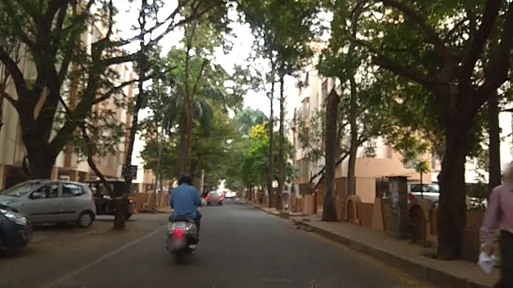 Megha Terraces