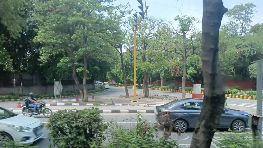 Lodhi Garden