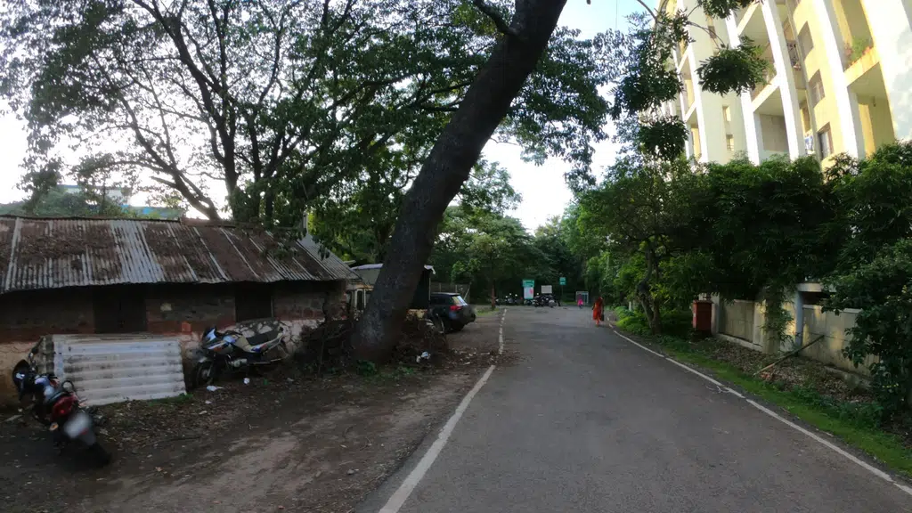 Punyashlok Ahilyadevi Sheli Mendhi Vikas Mahamandal