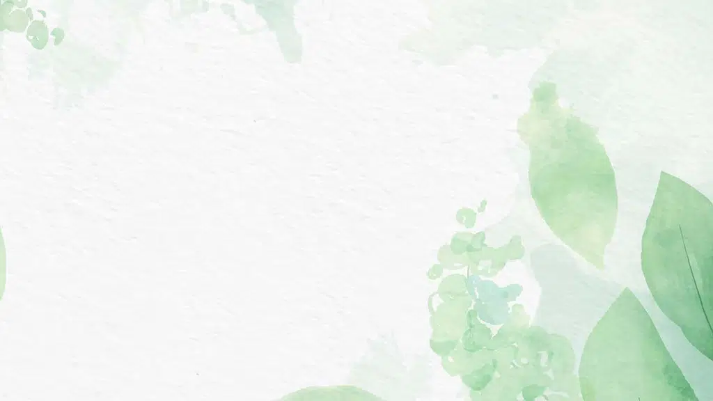 Hivision Foundation