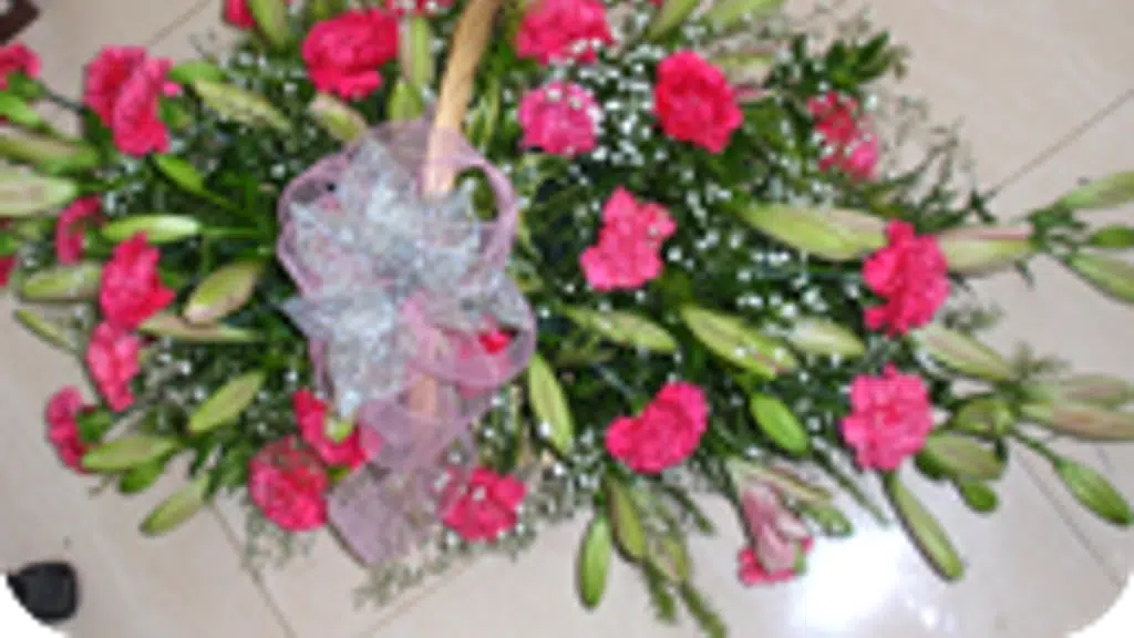 Ambrosia the flower studio