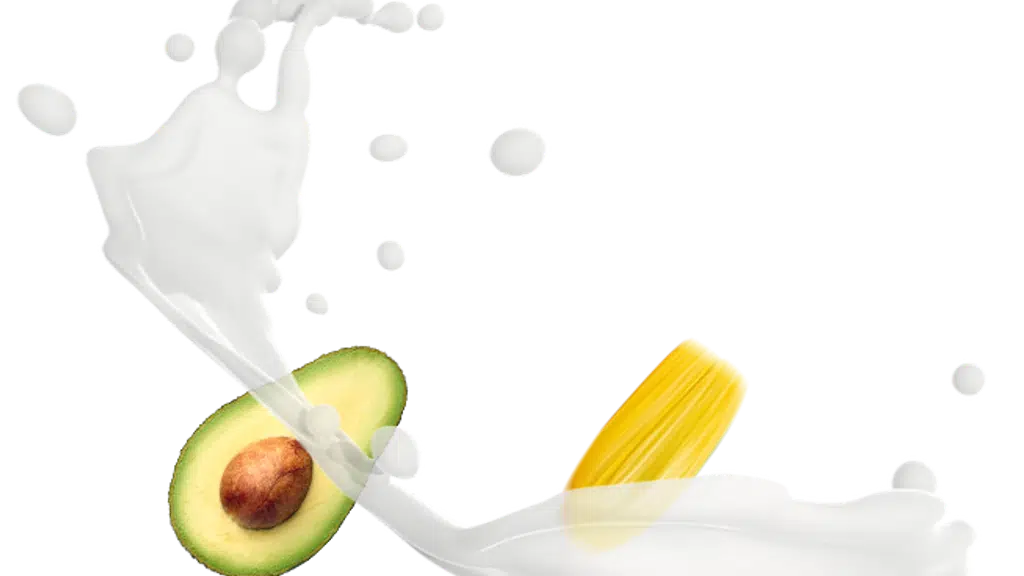 Fruitmash Delhi