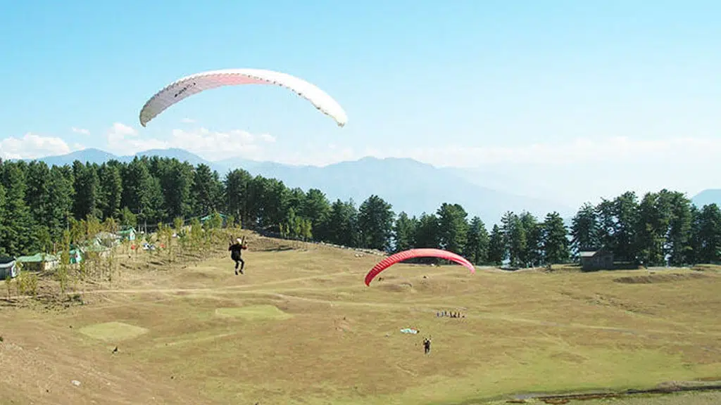 Daima Tour and Travel