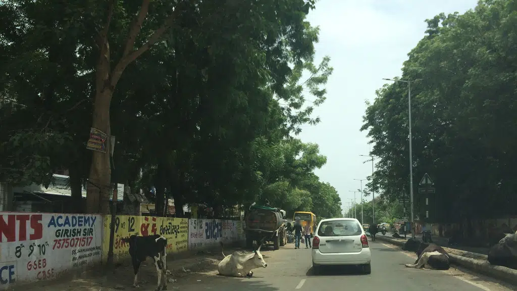 Jay Gopal Chowk