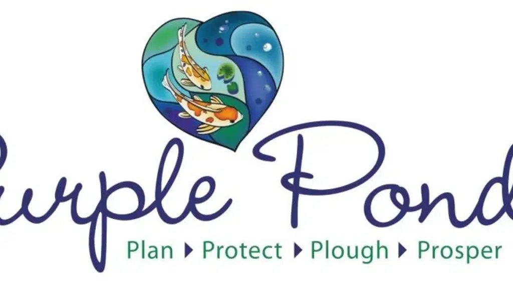 Purplepond Insurance Brokers