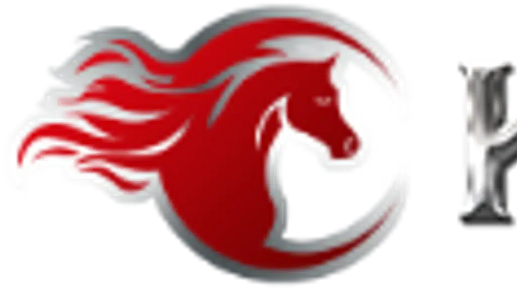 Diaame Global School of Governance & Management Studies