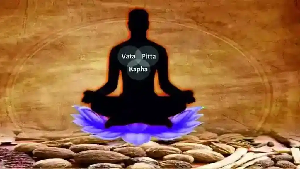 Liver Ayurveda Doctor