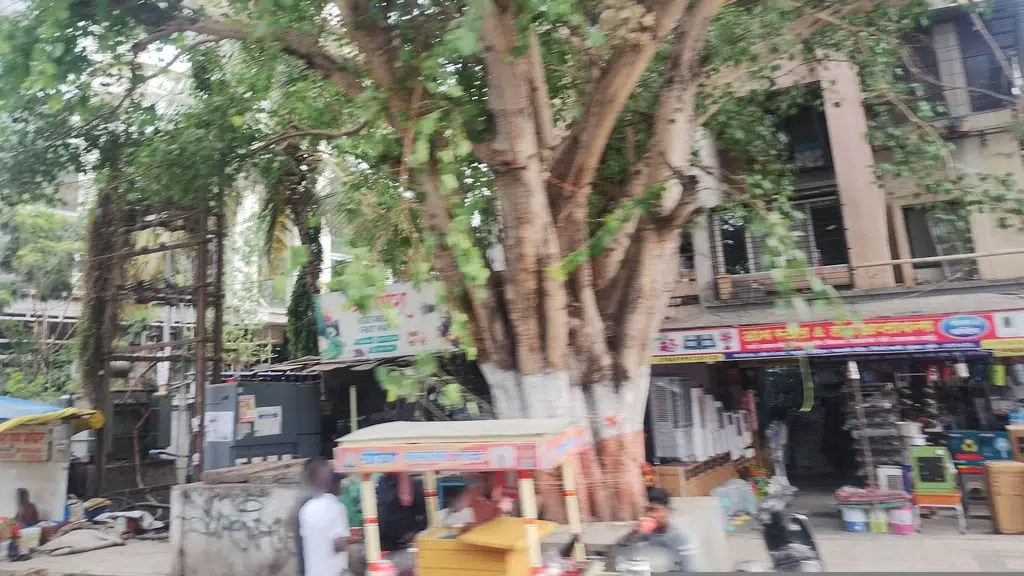 Ganga Park Society