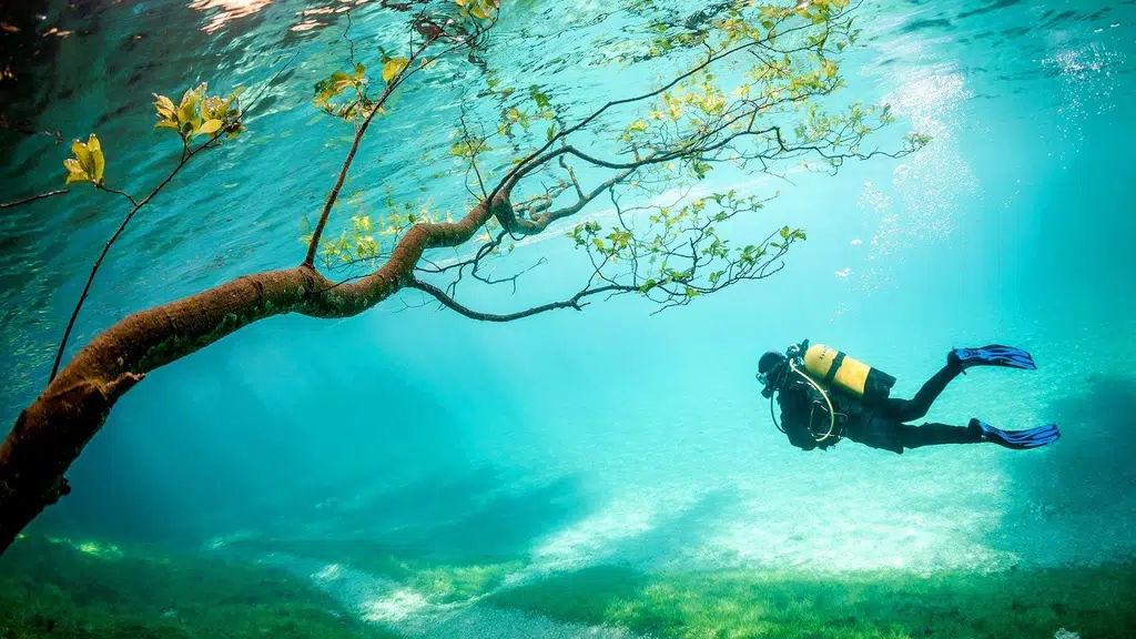 Dwarka Scuba