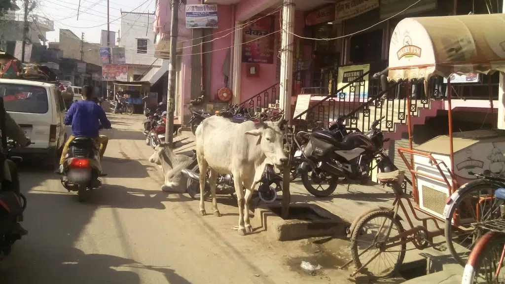 State Bank of India