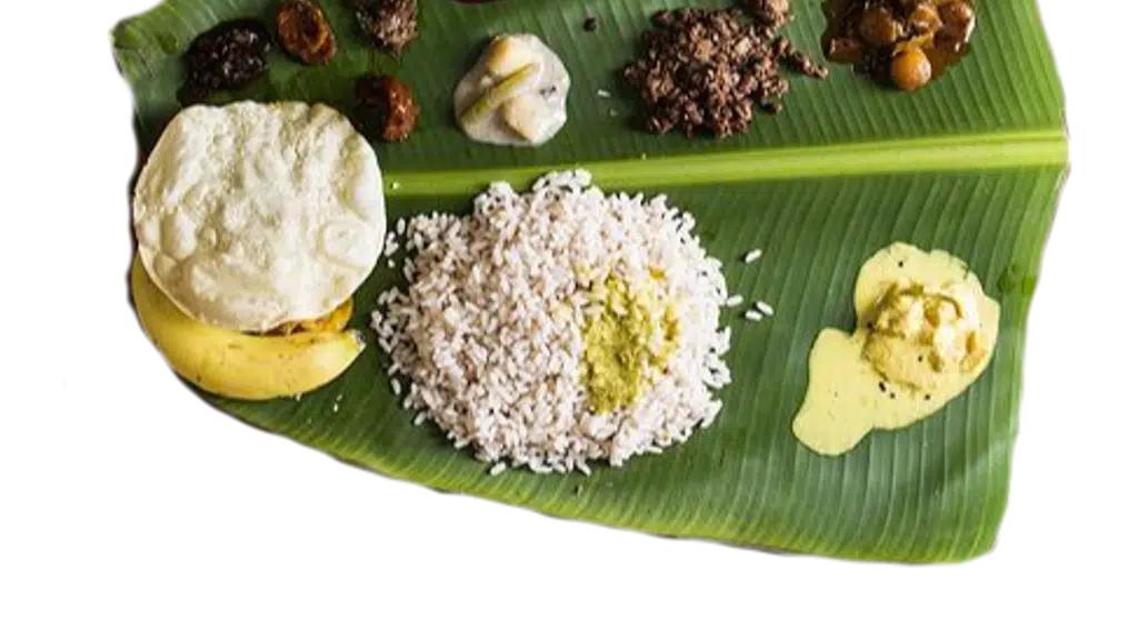 GayathriNutrisolutions (Gayathri V)