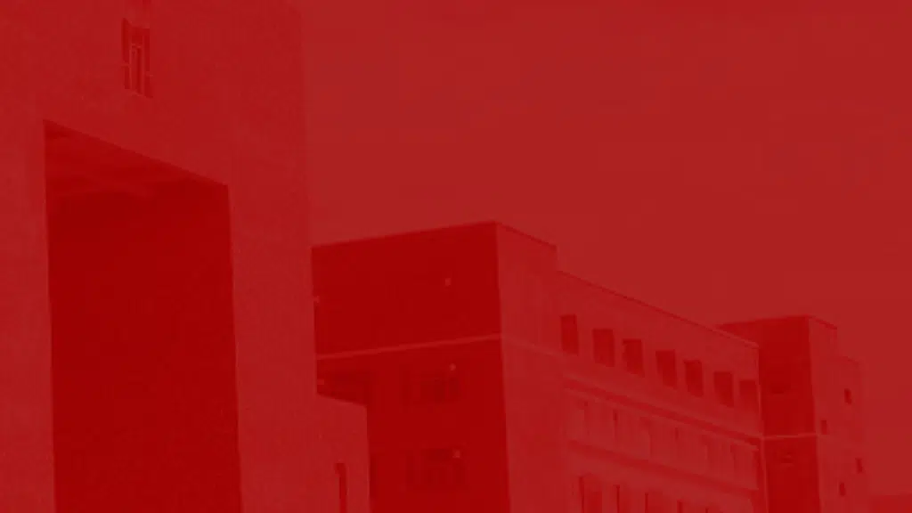 CGC University, Mohali International Affairs