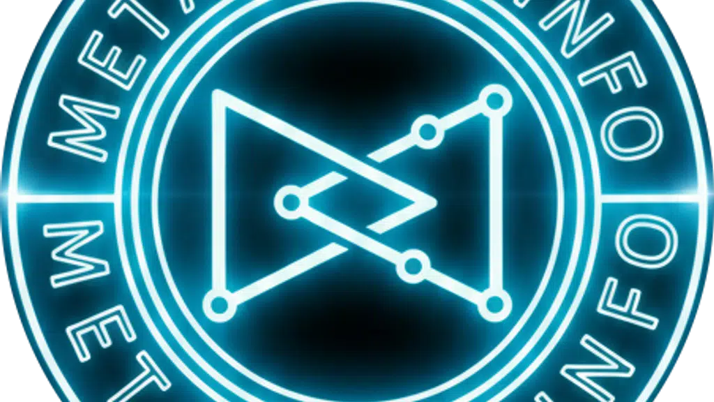 MetaverseInfo - metaithub.com