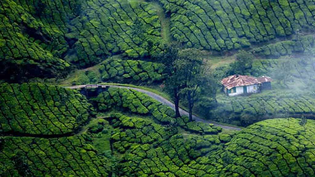 Coorg Cliff View