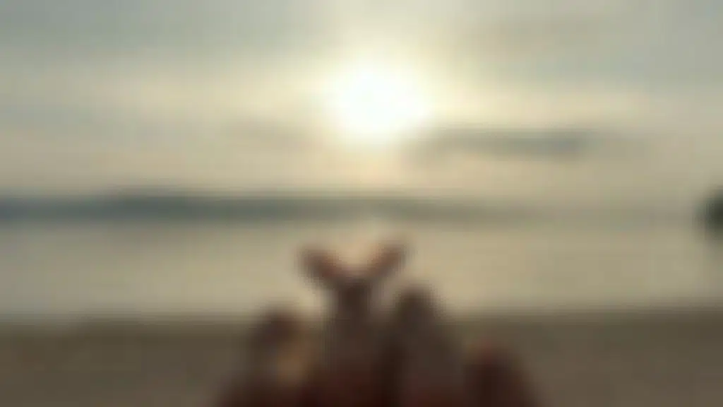 Hotel Horizon Hues