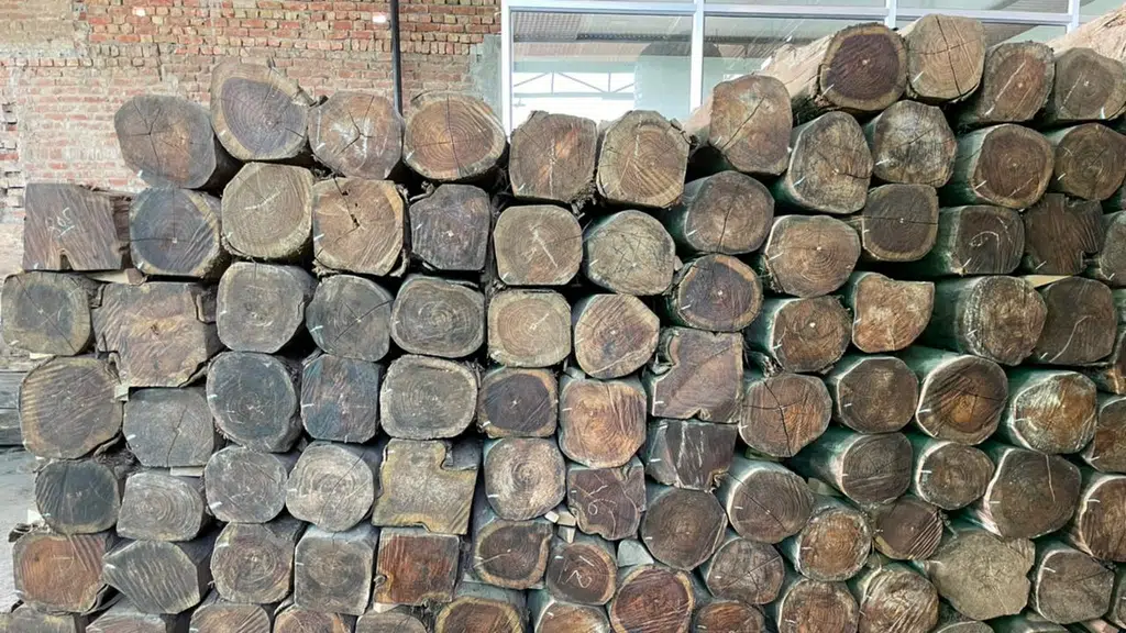 Jagdev Saw Mills - Burma teak | Sudan teak | MP teak | Sagwan wood | Wholesaler in Punjab