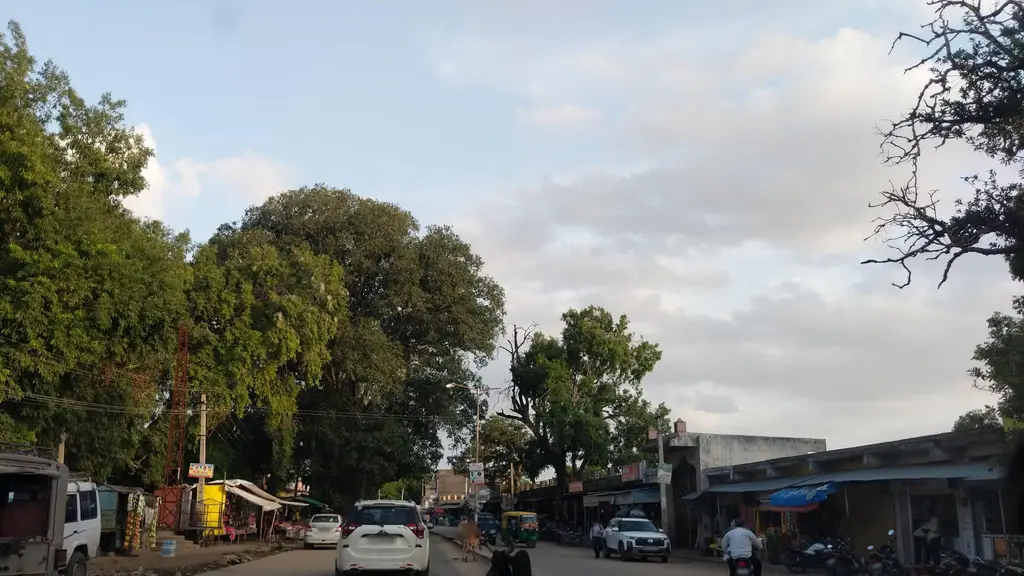 Paradiya (Rajput) Farm
