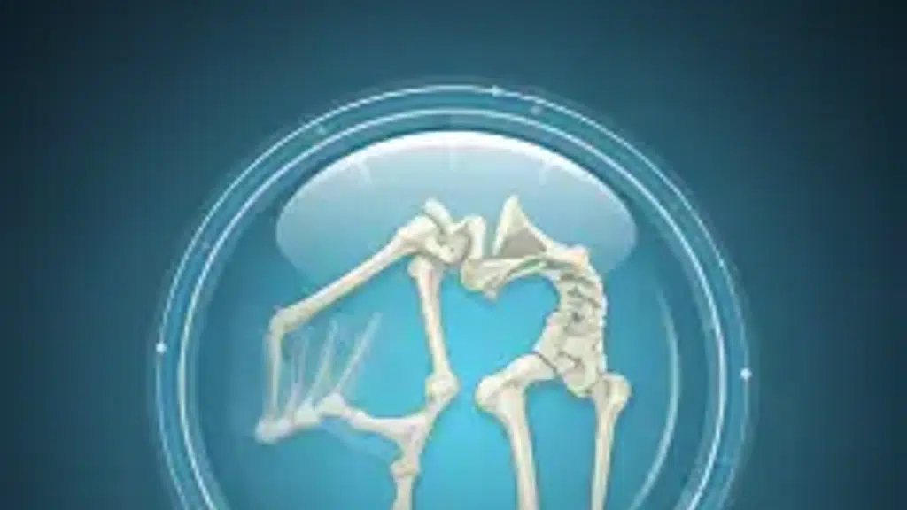 Shri Kvm Super Speciality Hospital