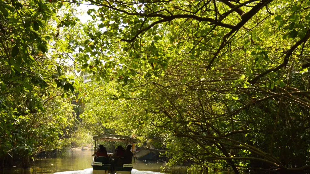Noah boating poovar