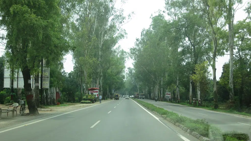 Bhaisla Farm House