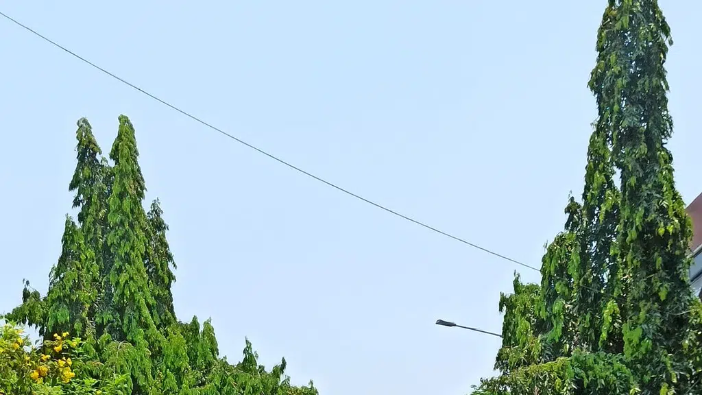 Antari
