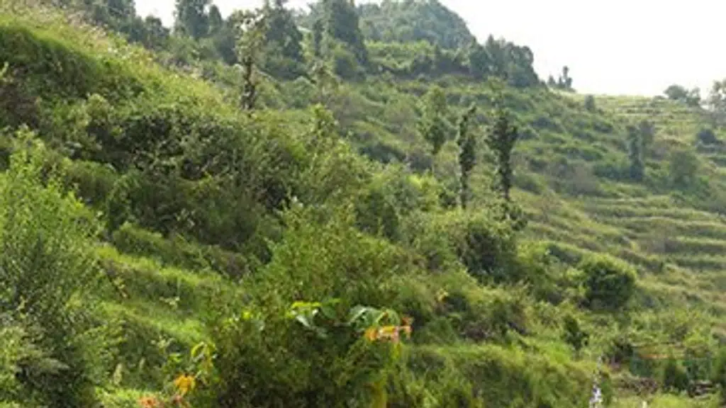 Whispering Pines, Kanatal