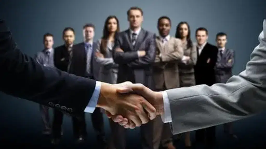 Sea Stars Consulting