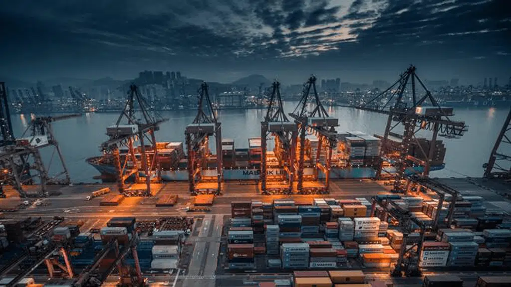 Red Sail Exports