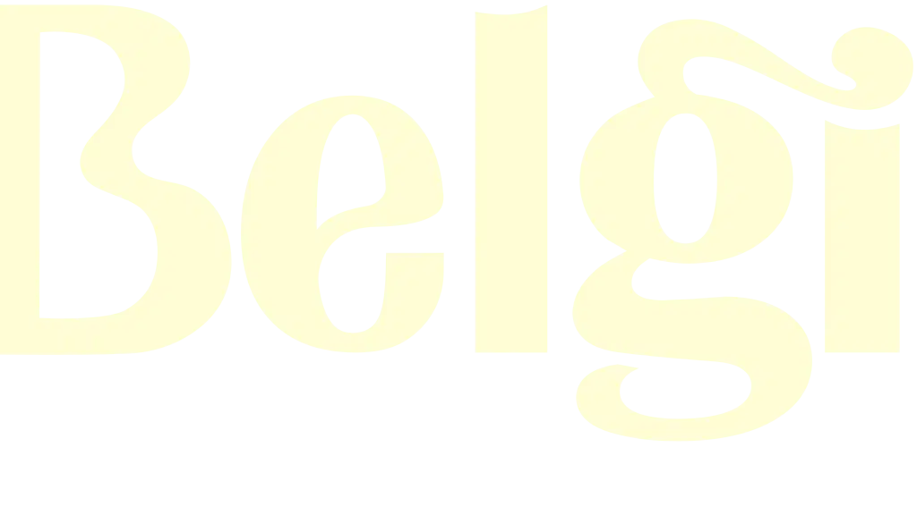 The Belgian Waffle Co