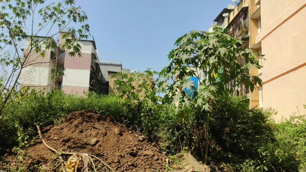 Nearbyplot Pvt Ltd