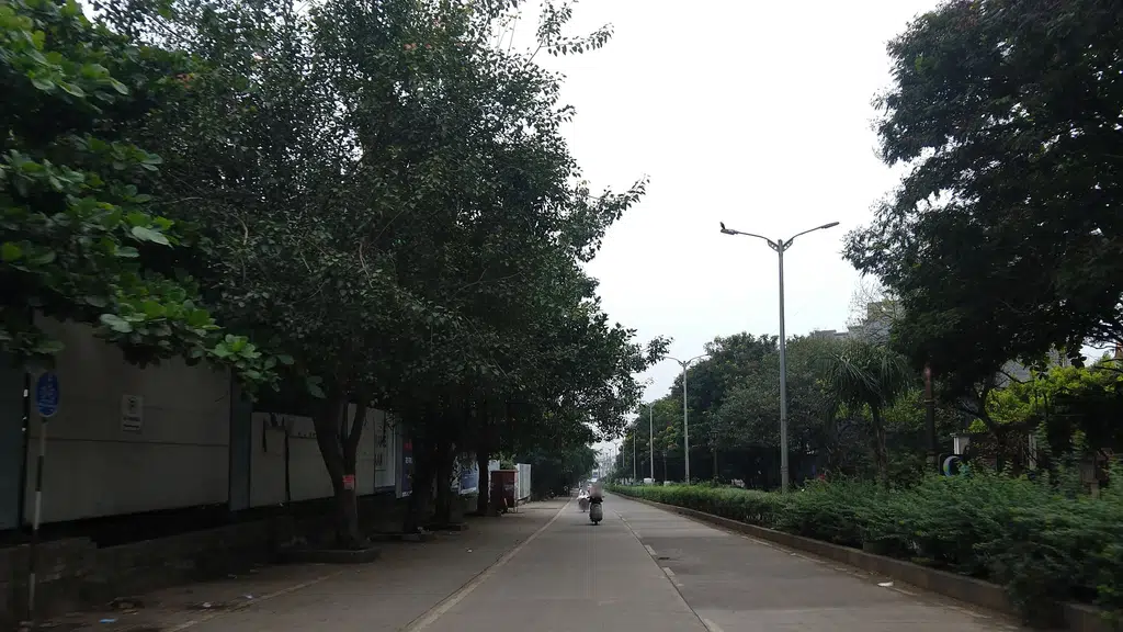 PunevillePhase-1 Punawale Pune