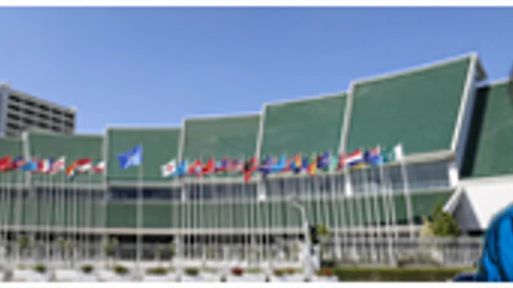 United Nations ESCAP South and South West Asia Office