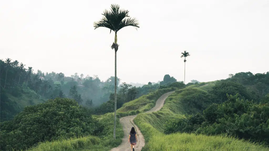 Moksha Stories The Travel Company