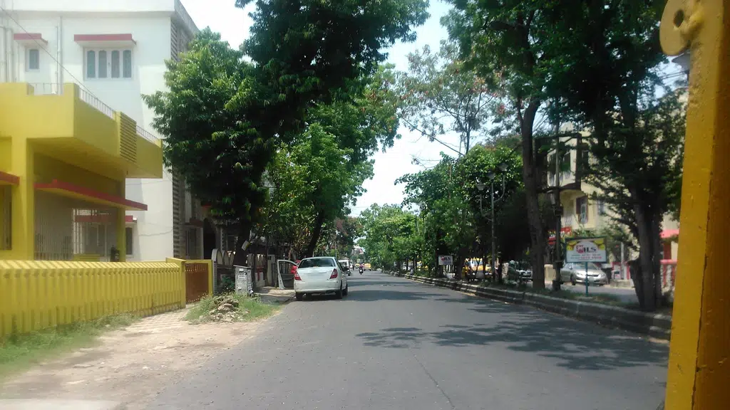 Pakori Fuchkawala