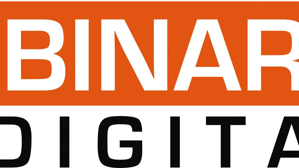 The Binary Digital