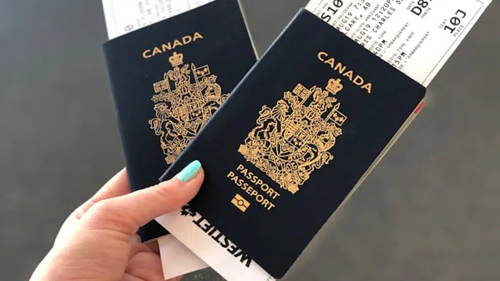 Visa Route Immigration