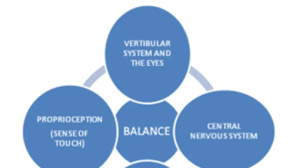 The Vertigo Clinic