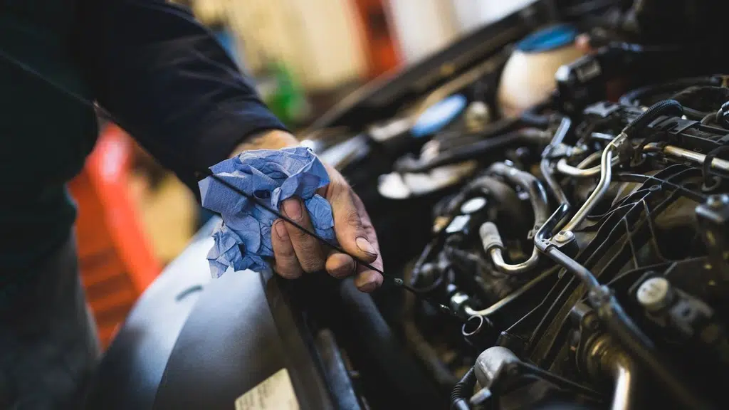 Evergreen Auto Agency
