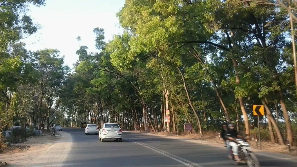 TVS - Shree Automobiles
